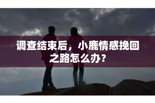 调查结束后，小鹿情感挽回之路怎么办？