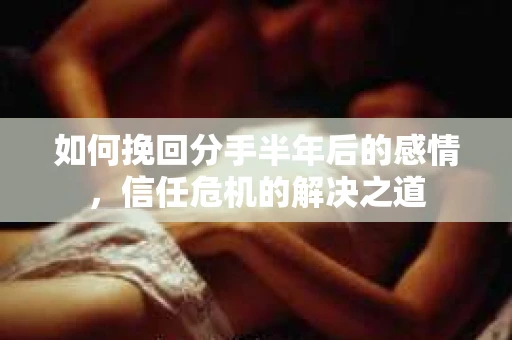 如何挽回分手半年后的感情，信任危机的解决之道