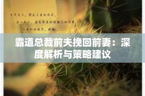 霸道总裁前夫挽回前妻：深度解析与策略建议