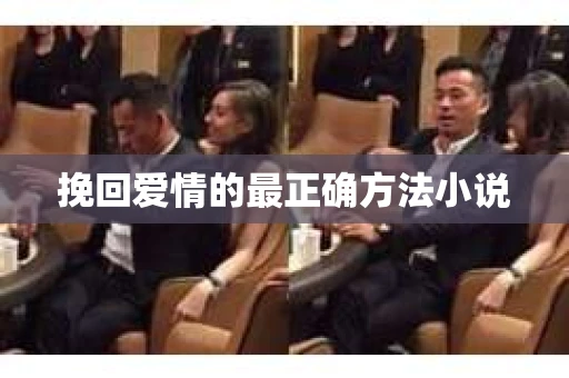 挽回爱情的最正确方法小说