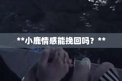 **小鹿情感能挽回吗？**