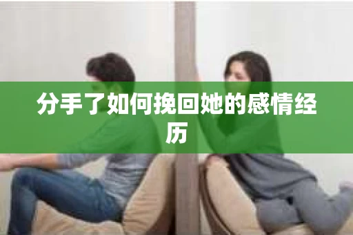分手了如何挽回她的感情经历