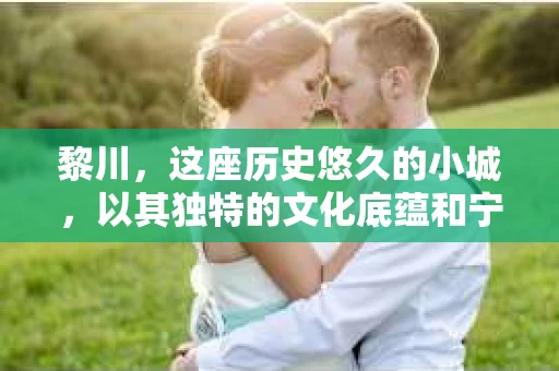 黎川，这座历史悠久的小城，以其独特的文化底蕴和宁静的生活节奏吸引着无数游客。然而，在这样一个看似平静的城市里，你是否会好奇，有没有私家侦探机构的存在呢？今天，就让我带你一探究竟。