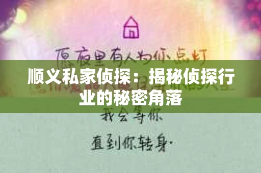 顺义私家侦探：揭秘侦探行业的秘密角落