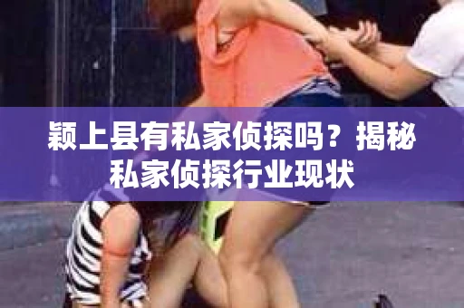 颖上县有私家侦探吗？揭秘私家侦探行业现状