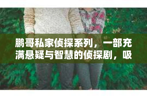 鹏哥私家侦探系列，一部充满悬疑与智慧的侦探剧，吸引了无数观众的眼球。今天，就让我带你走进这个充满神秘色彩的侦探世界，一起在线观看鹏哥私家侦探系列，感受那扣人心弦的故事情节。