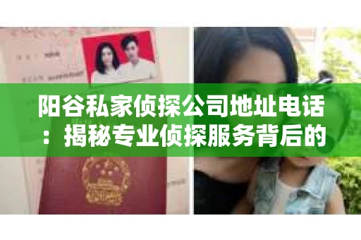 阳谷私家侦探公司地址电话：揭秘专业侦探服务背后的故事