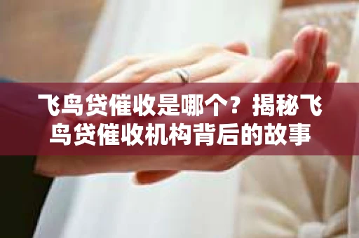 飞鸟贷催收是哪个？揭秘飞鸟贷催收机构背后的故事