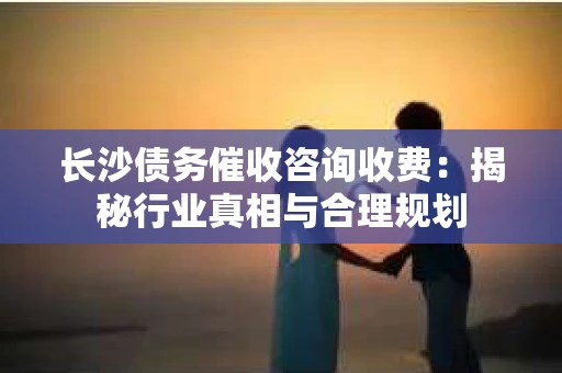 长沙债务催收咨询收费：揭秘行业真相与合理规划