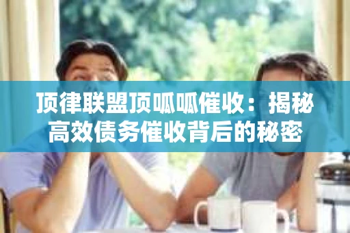 顶律联盟顶呱呱催收：揭秘高效债务催收背后的秘密