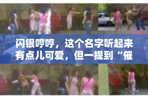 闪银哼哼，这个名字听起来有点儿可爱，但一提到“催收”，气氛就变得严肃起来。今天，我们就来聊聊这个话题，揭开“闪银哼哼催收”的神秘面纱。