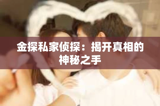 金探私家侦探:揭开真相的神秘之手 金探私家侦探:揭开真相的神秘之手