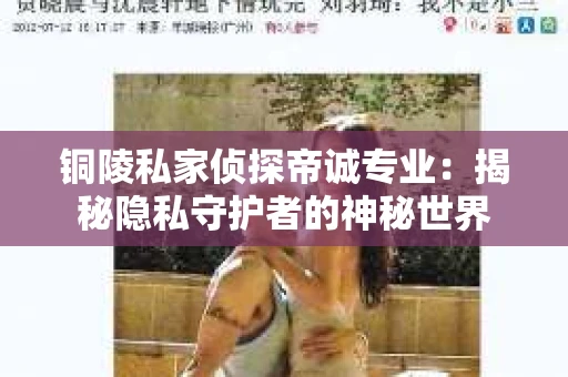 铜陵私家侦探帝诚专业:揭秘隐私守护者的神秘世界 铜陵私家侦探帝诚专业:揭秘隐私守护者的神秘世界
