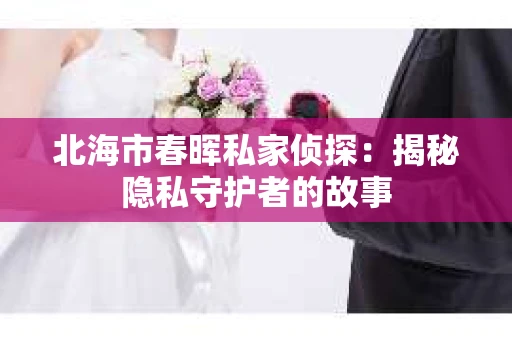 北海市春晖私家侦探：揭秘隐私守护者的故事