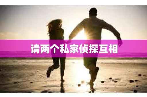 请两个私家侦探互相