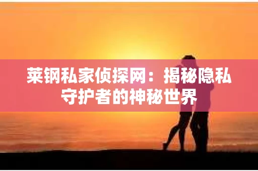 莱钢私家侦探网：揭秘隐私守护者的神秘世界