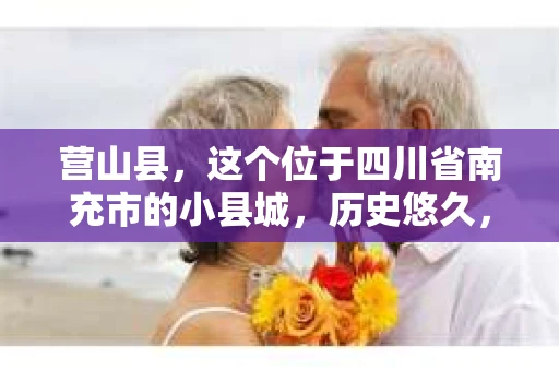 营山县，这个位于四川省南充市的小县城，历史悠久，风景秀丽。但在这个宁静的小县城里，你是否会好奇，有没有私家侦探的存在呢？今天，我就来和大家聊聊这个话题。