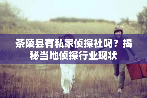 茶陵县有私家侦探社吗？揭秘当地侦探行业现状