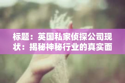 标题：英国私家侦探公司现状：揭秘神秘行业的真实面貌