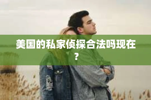 美国的私家侦探合法吗现在？