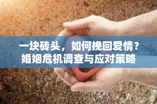 一块砖头,如何挽回爱情?婚姻危机调查与应对策略 一块砖头,如何挽回爱情?婚姻危机调查与应对策略
