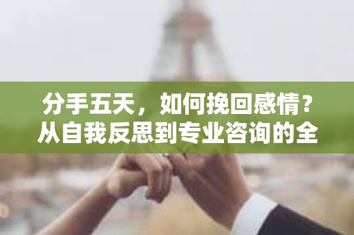 分手五天,如何挽回感情?从自我反思到专业咨询的全面解决方案 分手五天,如何挽回感情?从自我反思到专业咨询的全面解决方案