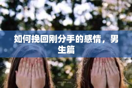 如何挽回刚分手的感情，男生篇