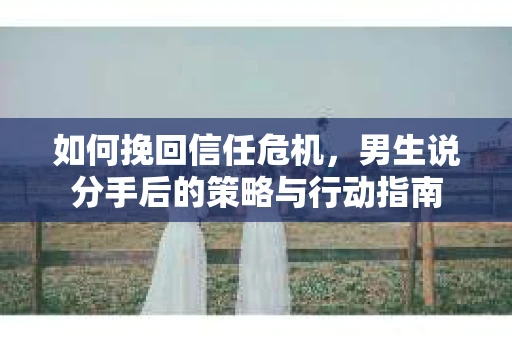 如何挽回信任危机，男生说分手后的策略与行动指南