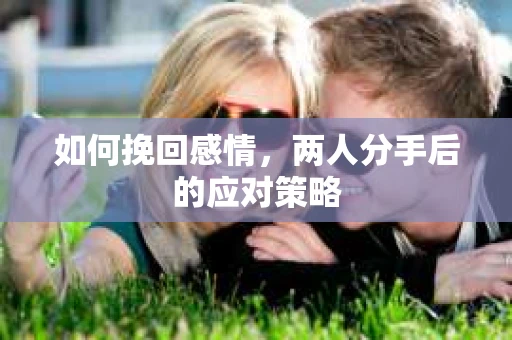 如何挽回感情,两人分手后的应对策略 如何挽回感情,两人分手后的应对策略