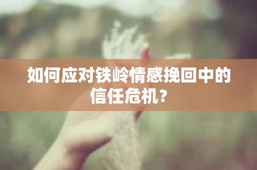 如何应对铁岭情感挽回中的信任危机? 如何应对铁岭情感挽回中的信任危机?